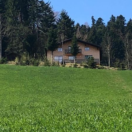 Ferienhaus Am Waldrand Von Egg Bregenzer Wald Экстерьер фото