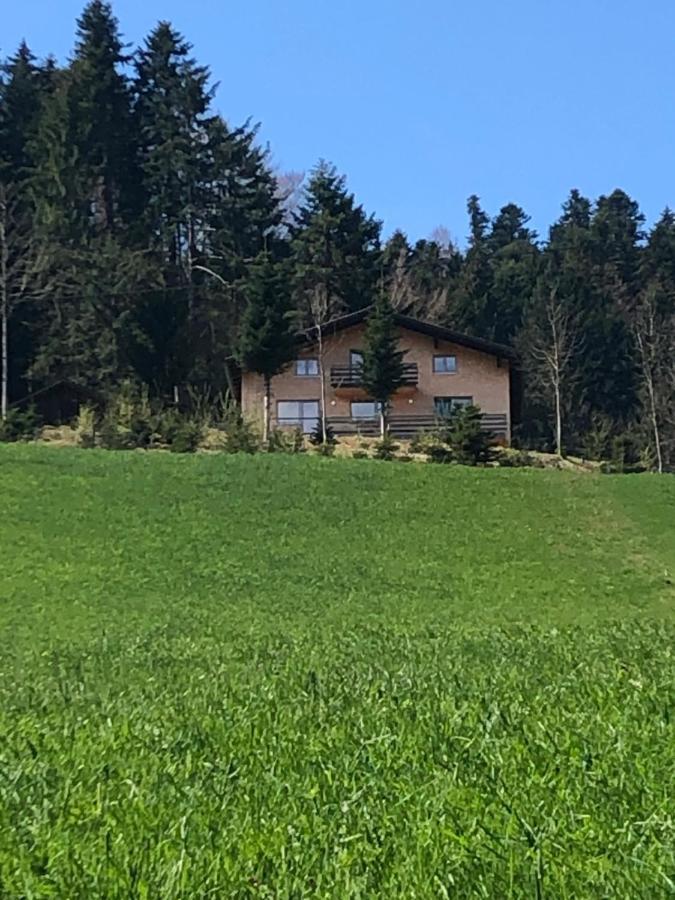 Ferienhaus Am Waldrand Von Egg Bregenzer Wald Экстерьер фото